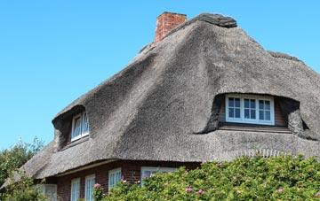 thatch roofing Saltmarsh, Newport